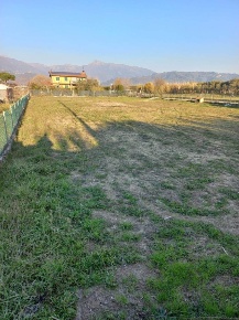 Foto Terreno agricolo a Camaiore di 3750 m² in vendita