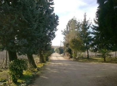 Foto Negozio a Casale Monferrato di 700 m² in vendita