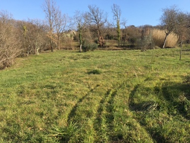 Foto Terreno agricolo in contrada savaroni, Atripalda in vendita
