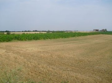Foto Negozio a Alessandria in vendita