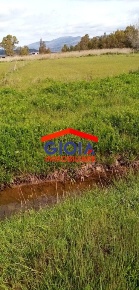 Foto Terreno agricolo in Sessa Aurunca, Mondragone di 4000 m² in vendita