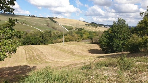 Foto Terreno agricolo in via entoggese s.n.c, Urbisaglia in vendita