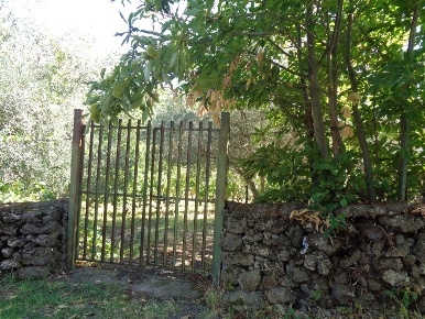 Foto Terreno agricolo in Contrada Nave, Bronte di 5527 m² in vendita