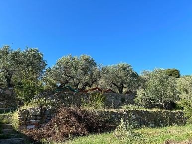 Foto Terreno agricolo in Via Guadalajara, Livorno di 2200 m² in vendita