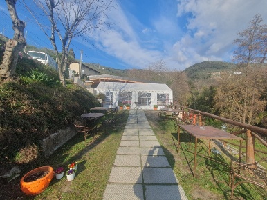 Foto Attività commerciale a Pietrasanta di 80 m² con 2 locali in affitto
