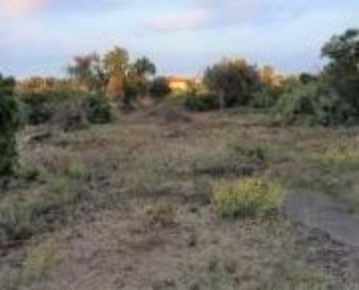 Foto Terreno agricolo a Belpasso in vendita