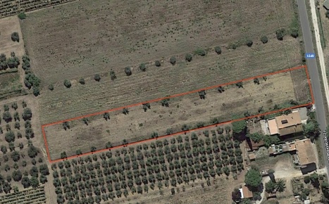 Foto Terreno agricolo a Piombino Riotorto di 4320 m² in vendita