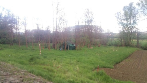 Foto Terreno agricolo in via ABBATE s.n.c, Castagnole delle Lanze