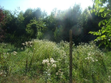 Foto Terreno edificabile in via XXIV Maggio s.n.c, Castagnole delle Lanze