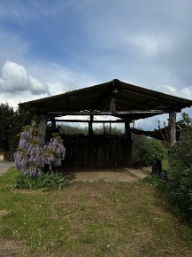 Foto Terreno agricolo a Sovicille di 17000 m² in vendita