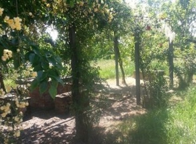Foto Terreno agricolo a Alessandria in vendita