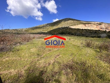 Foto Terreno agricolo a Mondragone di 8430 m² in vendita