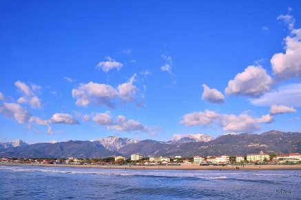 Foto Attività commerciale a Pietrasanta di 50 m² in vendita