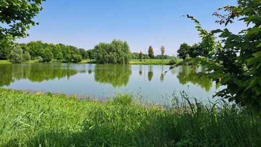Foto Terreno edificabile a Ceranova di 481 m² in vendita