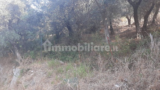 Foto Terreno agricolo a Pellezzano di 3000 m² in vendita