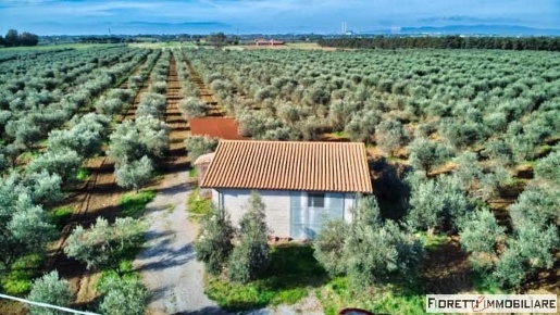 Foto Terreno agricolo a Piombino Riotorto in vendita
