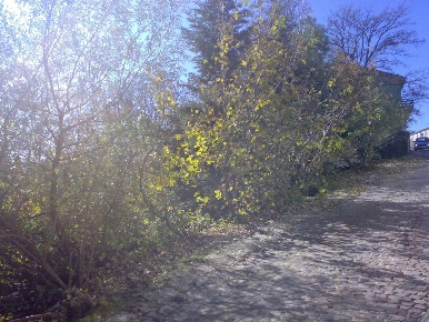 Foto Terreno edificabile in Via Risorgimento, Capracotta di 1280 m²