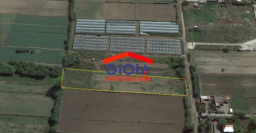 Foto Terreno agricolo a Mondragone in vendita