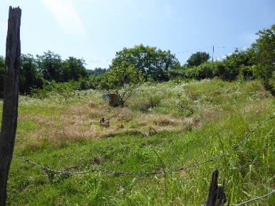 Foto Terreno agricolo in regione Montemarino Acqui Terme, Acqui Terme