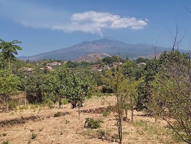 Foto Terreno agricolo a Viagrande di 2200 m² in vendita