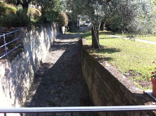immagine annuncio 3 di 9