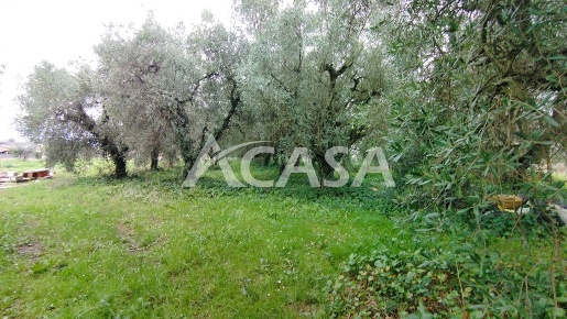 Foto Rustico a Velletri Appia Sud di 50 m² con 1 locali in vendita