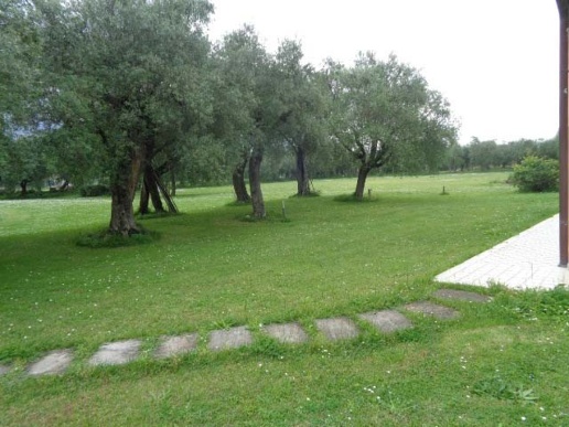 immagine annuncio 7 di 13