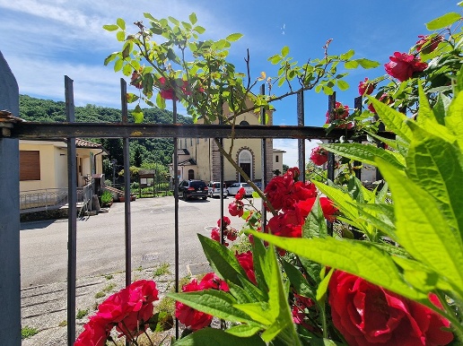 immagine annuncio 10 di 13