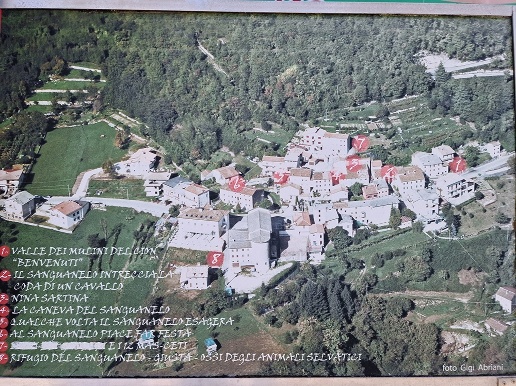 immagine annuncio 11 di 13