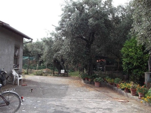immagine annuncio 2 di 12