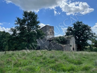 Foto Rustico a San Casciano dei Bagni di 370 m² con 20 locali in vendita