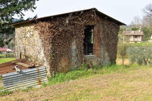 immagine annuncio 3 di 12