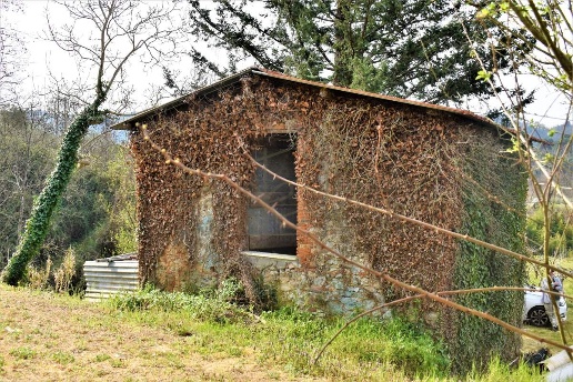 immagine annuncio 4 di 12