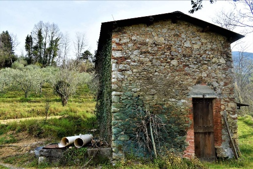 immagine annuncio 5 di 12