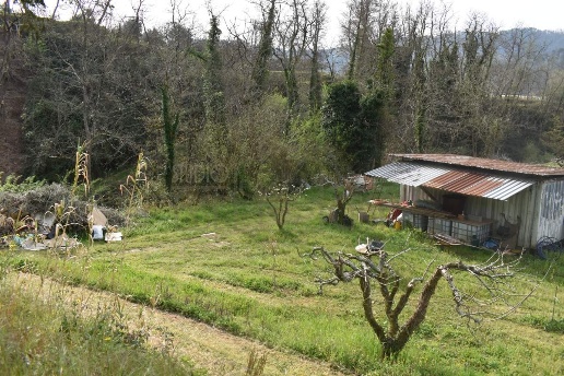 immagine annuncio 9 di 12