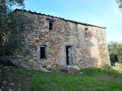 immagine annuncio 1 di 11