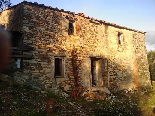 immagine annuncio 7 di 11