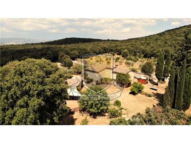 Foto Rustico in MONTERIGGIONI, Monteriggioni di 413 m² con 16 locali