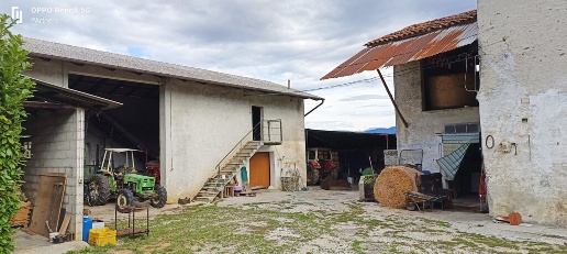 immagine annuncio 6 di 11