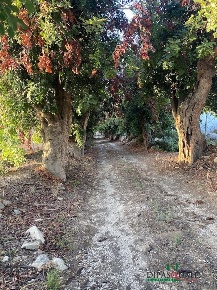 Foto Rustico a Ragusa Contrade di Marina di Ragusa di 564 m² con 13 locali