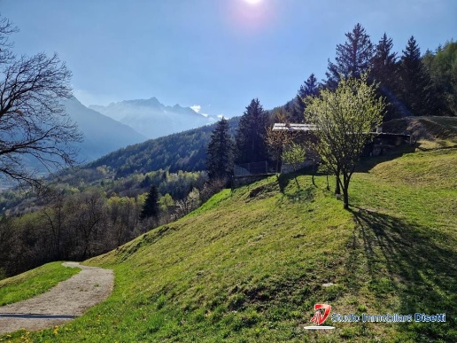 immagine annuncio 1 di 10