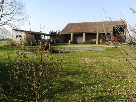 immagine annuncio 1 di 9