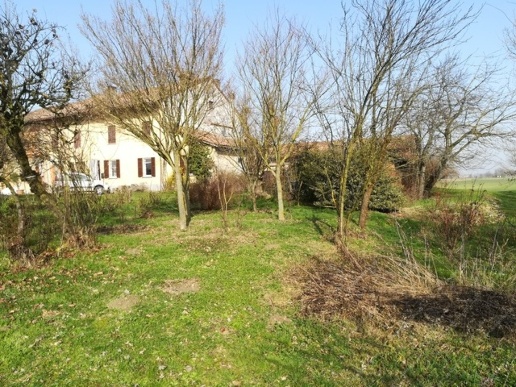 immagine annuncio 6 di 9