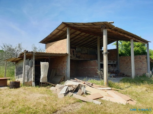 immagine annuncio 5 di 6