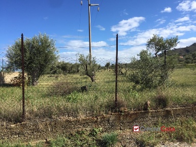 Foto Rustico a Messina Castanea - Salice di 11000 m² con 1 locali