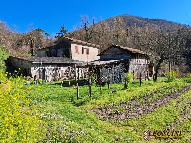 Foto Rustico in Via Novegino, Podenzana di 232 m² con 9 locali in vendita