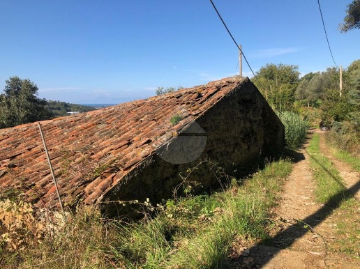 immagine annuncio 2 di 12