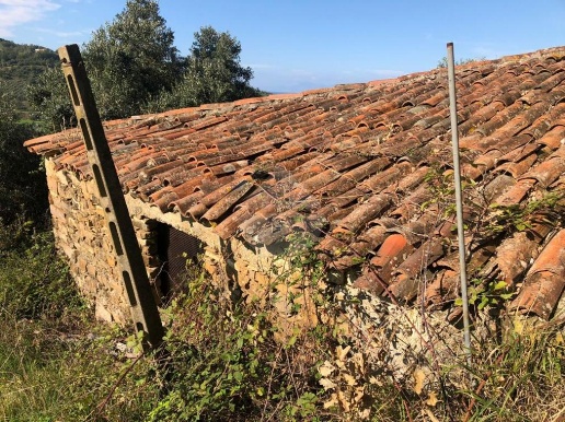 immagine annuncio 6 di 12