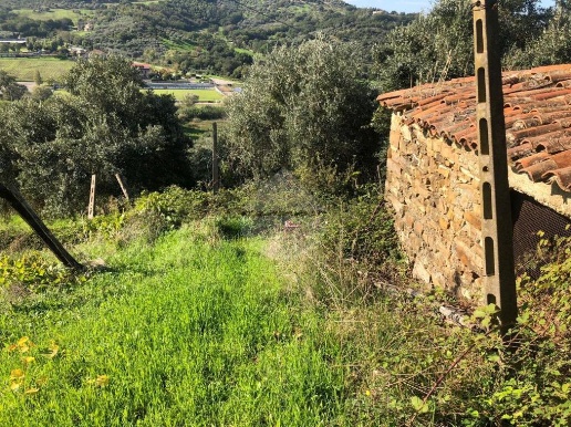 immagine annuncio 7 di 12