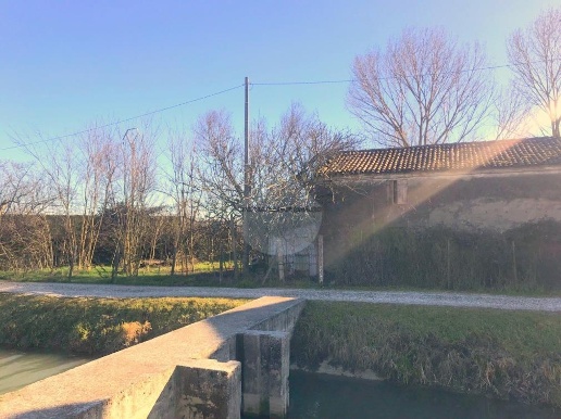 immagine annuncio 3 di 7